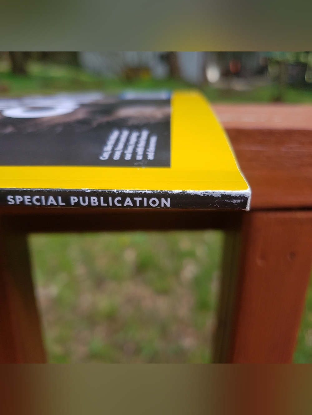 National Geographic The Genius Of Cats Special Publication - 12/2025 - Picture 2 of 10